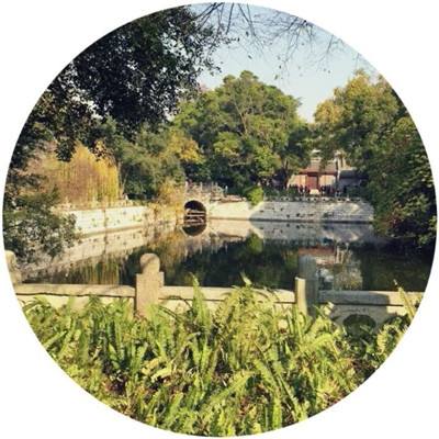 星缘恋爱吧偶像百度版下载